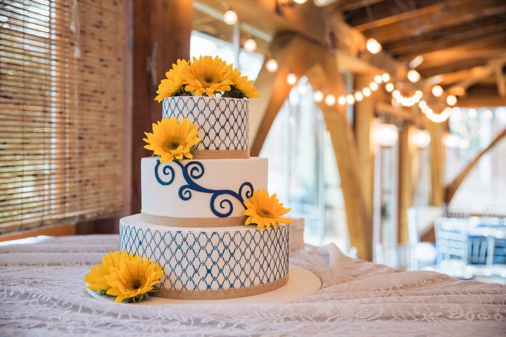232 Klugman wedding2015_resize.jpg