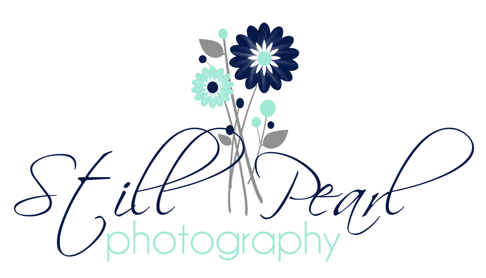 Professional Wedding Photography